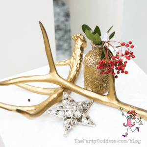 Step Away From The Plaid! Cool Christmas Ideas! | The Party Goddess!