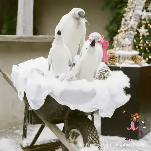 Step Away From The Plaid! Cool Christmas Ideas! | The Party Goddess!