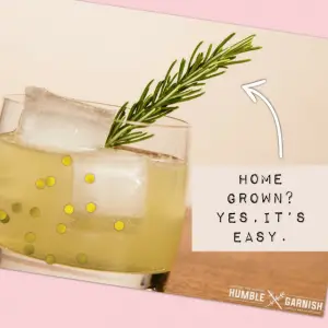 Veggies & Gardens For Your Own Farm-To-Table! | The Party Goddess!