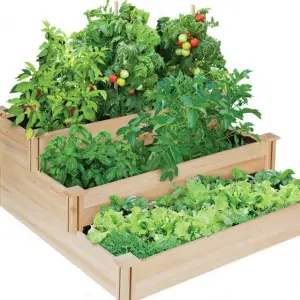 Veggies & Gardens For Your Own Farm-To-Table! | The Party Goddess!