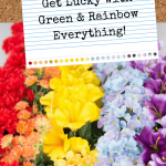Get Lucky With Green & Rainbow Everything! - Pinterest title image