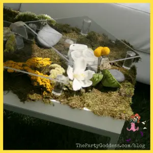 Spring Centerpieces Beyond Floral Arrangements! - moss covered table