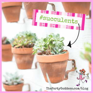 12 ‘Not Your Same Old Mother’s Day’ Ideas! - succulents in pots on a wall