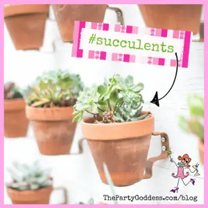 12 ‘Not Your Same Old Mother’s Day’ Ideas! - succulents in pots on a wall