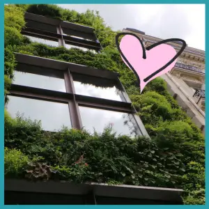 2018 Travel Trends: Around The World And Back! - greenery growing on building facade