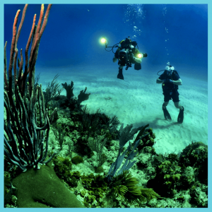 2018 Travel Trends: Around The World And Back! - 2 scuba divers on ocean floor