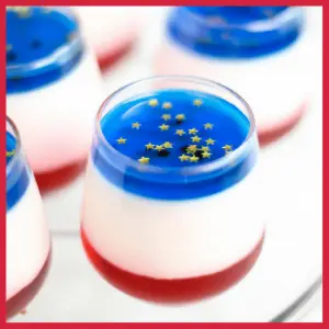 Picnics, BBQ & Boozy Menus For Memorial Day! - red white and blue panna cotta