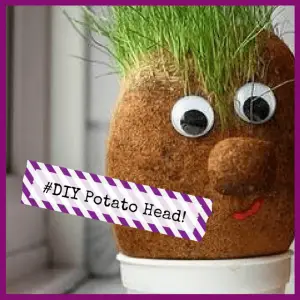 Summer Vacation Activities & Crafts For Kids! - diy Mr. Potato chia head