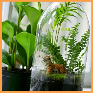 Summer Vacation Activities & Crafts For Kids! - homemade terrarium using a soda bottle