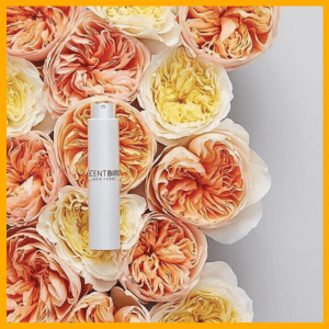10 Online Fashion Stylists Almost Haute-Couture - Scentbird fragrance on yellow and orange flowers