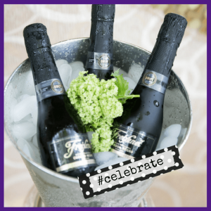 Diva For A Day: Luxury VIP Experiences! - champagne bottles in ice bucket