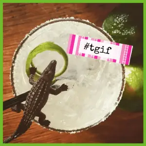 What’s On The Menu? Nothing, There Isn’t One! - cocktail with an alligaor and lime peel on the top