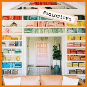New Life Hacks To Keep Your Home Organized! - color coordinated bookshelf