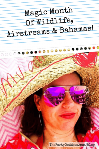 Magic Month Of Wildlife, Airstreams & Bahamas! - Pinterest title image