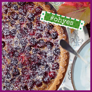 Fall Fruit Dessert Recipes For Entertaining! - cranberry tart