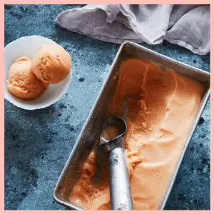 Fall Fruit Dessert Recipes For Entertaining! - plum rose sorbet