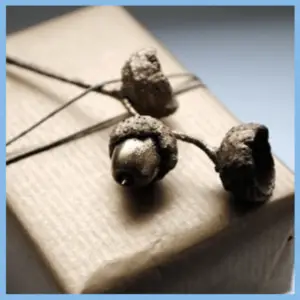 Gift Wrapping: The Presentation Of Presents! - gift wrapped in kraft paper with gold acorns on top