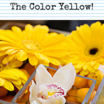 Nothin Mellow About The Color Yellow - Pinterest title image